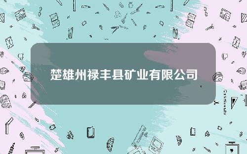 楚雄州禄丰县矿业有限公司(楚雄州禄丰县矿业有限公司电话)