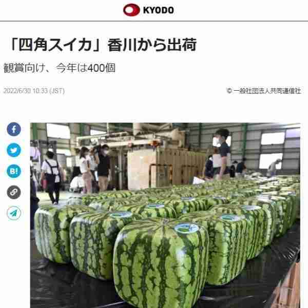 能看不宜吃？日本“方形西瓜”1万日元一个