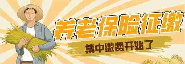 新消息！陕西省农村养老保险于4月1日开始缴费了，文附缴费流程