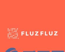 FLUZ币FluzFluz是什么？FLUZ官网、团队、白皮书介绍