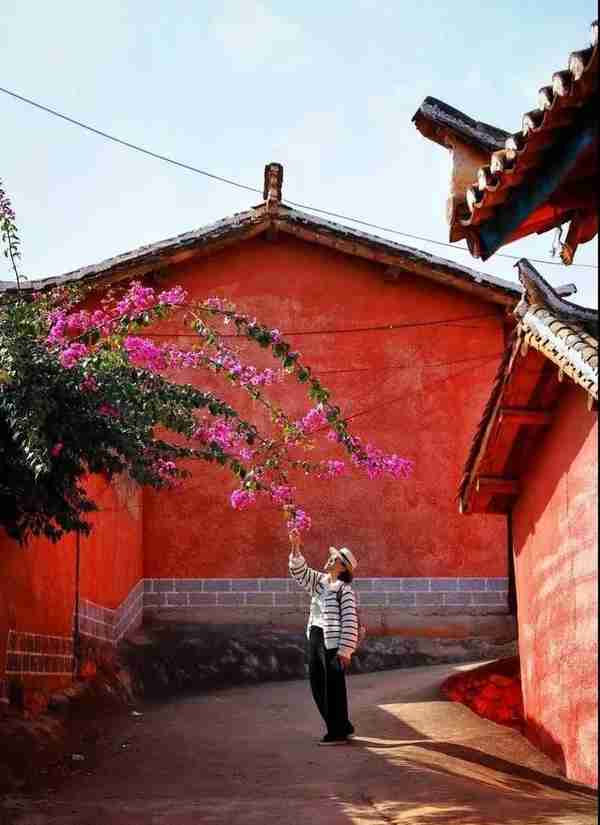 中国最温暖的14座城市，冬天20+℃，每个都暖到让人忘穿秋裤