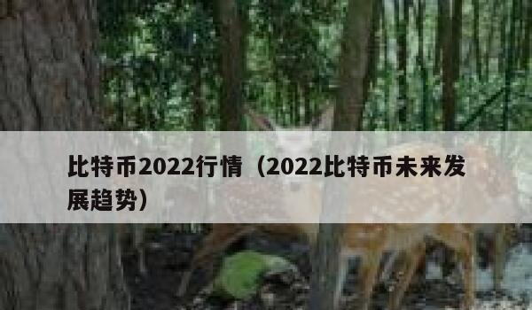 比特币2022行情（2022比特币未来发展趋势）