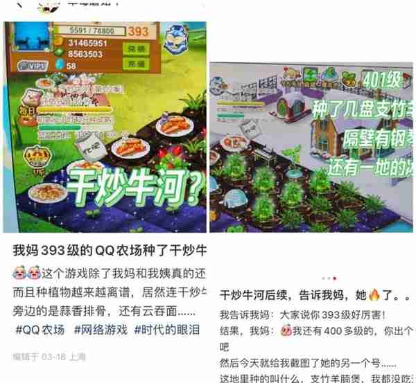 55岁阿姨玩《QQ农场》14年，已经种出干炒牛河