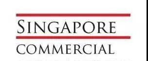 新加坡模式给我国征信业发展的启示和建议