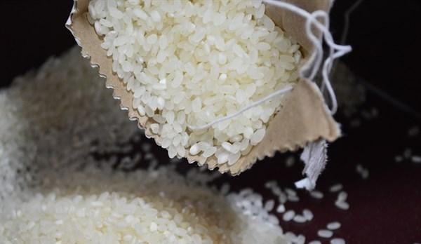 大米含糖量多少(100克大米含糖量多少)