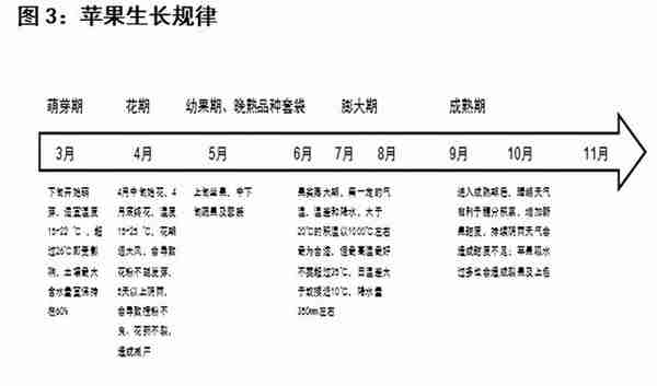 苹果：苹果历史规律复盘