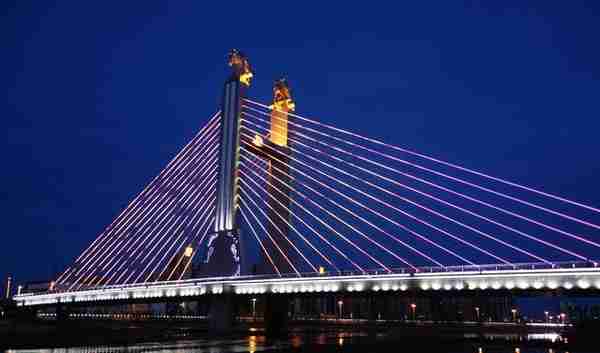 独占六个世界冠军！江苏投3000，0000000元建主跨世界最长悬索桥