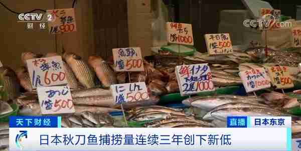 鱼荒！一个月都捕不到一条！这种鱼，价格飙升3倍！日本“平民美食”不再平民...