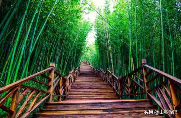 夏季休闲的诗意，全在重庆梁平百里竹海，镶在明月山中的寿竹之乡