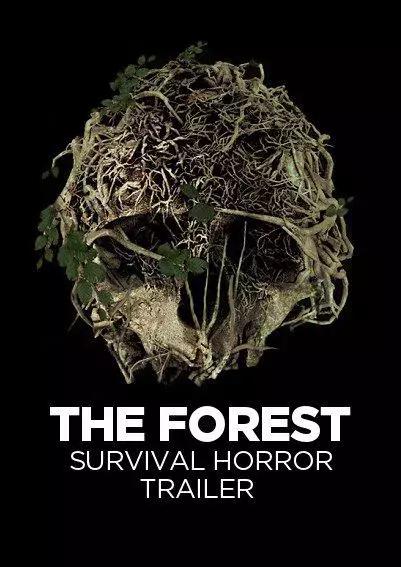 历时4年打造的生存恐怖游戏《The Forest 森林》如何获得高口碑？