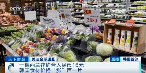 韩国常用食材价格上涨，一棵西蓝花竟卖16元人民币