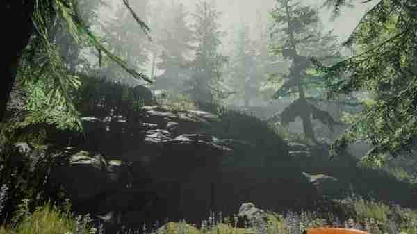 历时4年打造的生存恐怖游戏《The Forest 森林》如何获得高口碑？