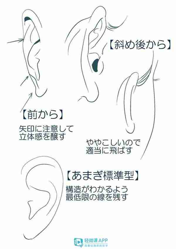 耳朵画法有哪些？教你绘画耳朵的技巧