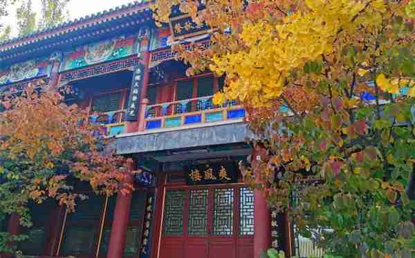 北京丰台区推荐世界花卉大观园、园博园等五个赏秋胜地