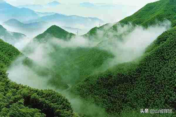 夏季休闲的诗意，全在重庆梁平百里竹海，镶在明月山中的寿竹之乡