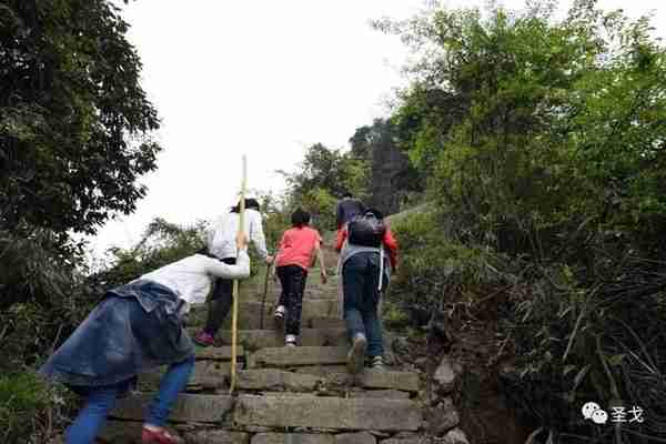 大邑雾中山开化寺徒步旅游攻略