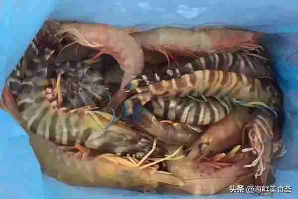 71种常见的海鲜，鱼虾蟹贝虫，都齐了，你吃过几种呢？
