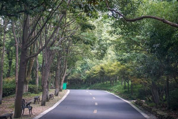 玩鳄鱼过山车 赏珍稀动物 安吉中南百草原 户外拓展、亲子网红地