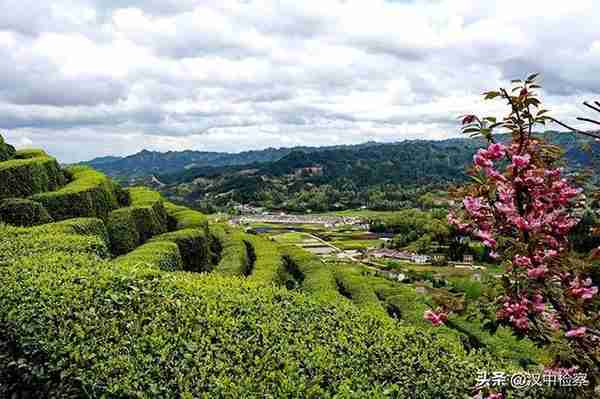 陕西20条茶旅融合精品景点线路推介发布