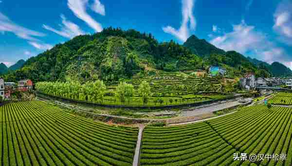 陕西20条茶旅融合精品景点线路推介发布