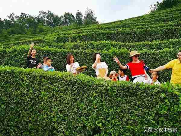 陕西20条茶旅融合精品景点线路推介发布