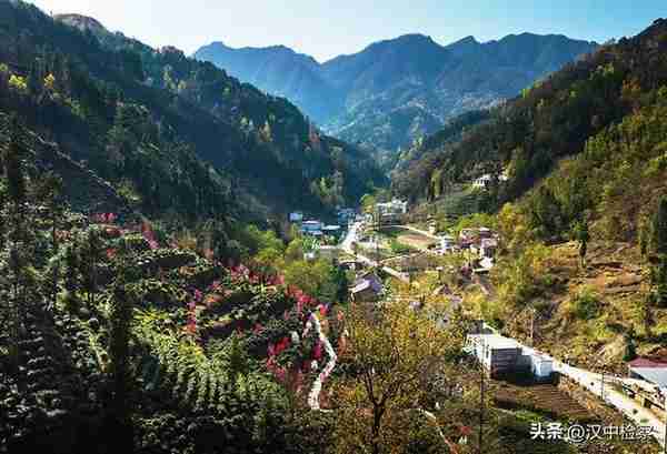 陕西20条茶旅融合精品景点线路推介发布